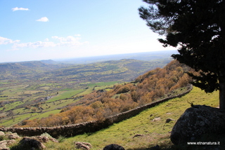 Bosco della Contessa